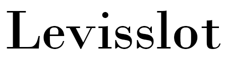 Levisslot